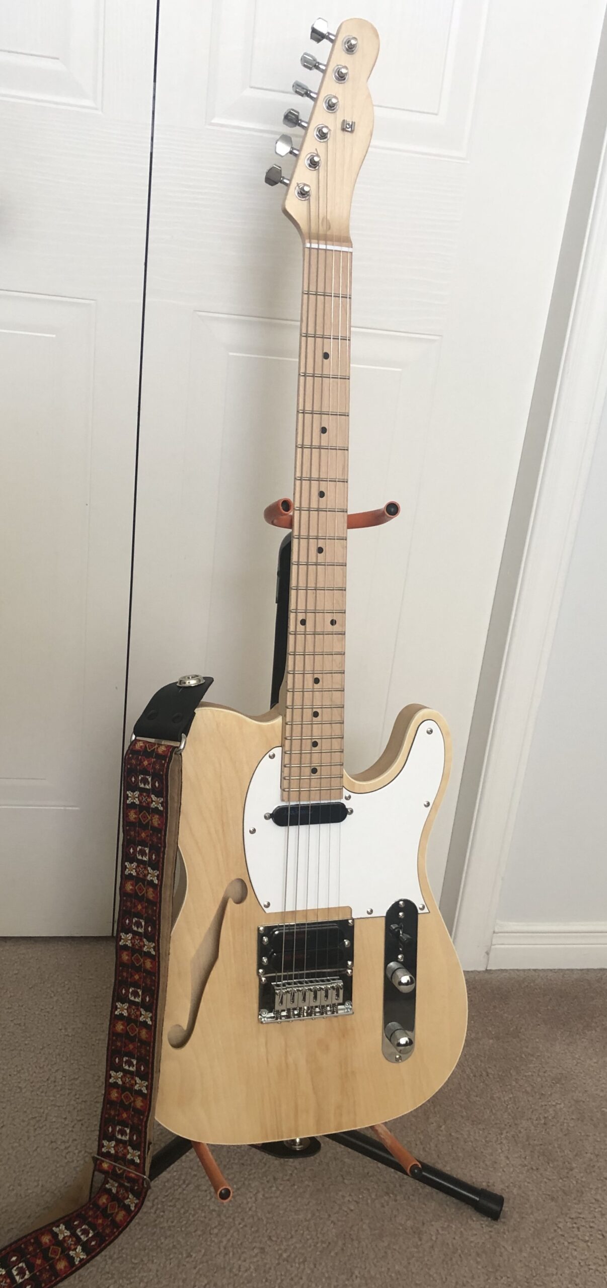 Thinline Telecaster Plus V1 Build